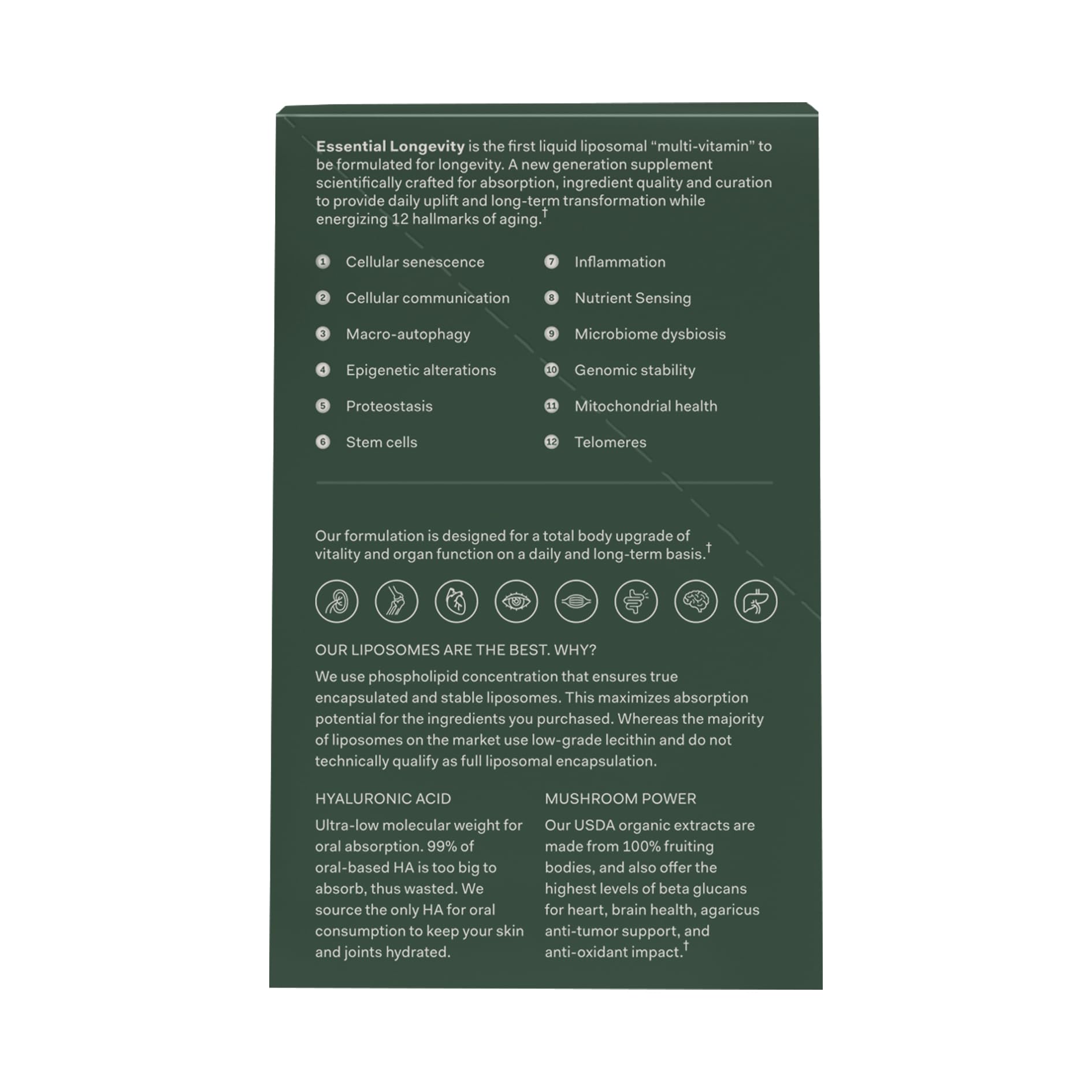 TMW Essential Longevity liposomal blend close-up showing premium absorption.