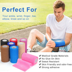 Tondiamo 18-color pack offers vibrant options for pets or teammates.