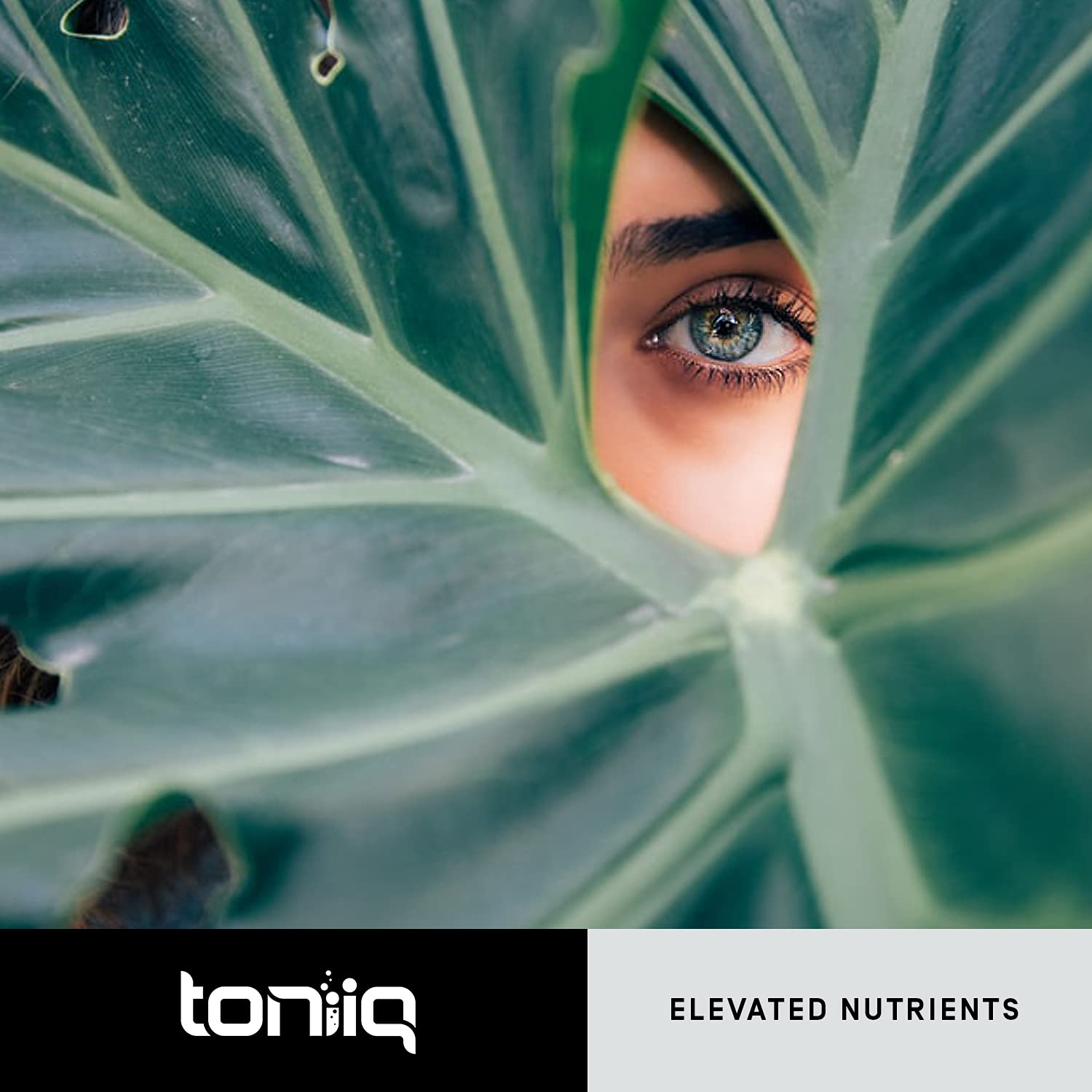 Toniiq Resveratrol third party lab report confirming quality testing