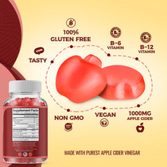Toplux vegan-friendly ACV gummies in a clear jar highlight flavor and versatility.
