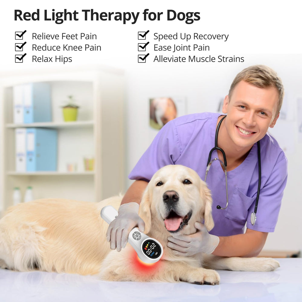 Toponechoice red-light device used for pets such as dogs to ease minor aches