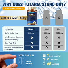Totaria antioxidant-rich NMN blend suggesting comprehensive cellular support.