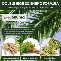 Totaria ashwagandha root capsules highlight adaptogenic comfort during daily routines.
