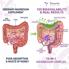 Totaria digestive enzymes formulation aiding protein, fat, and carbohydrate breakdown.