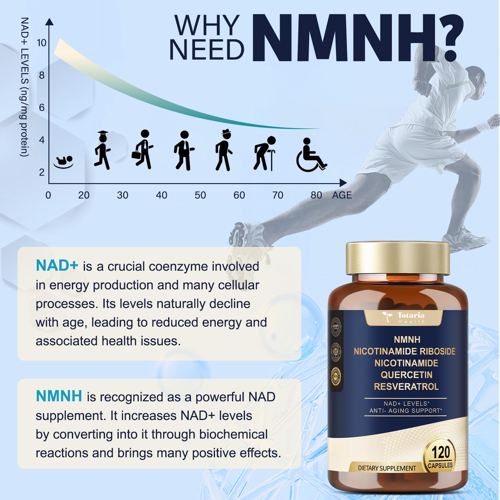 Totaria NMNH dosage instruction card guiding daily two-capsule routine