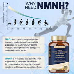 Totaria NMNH dosage instruction card guiding daily two-capsule routine