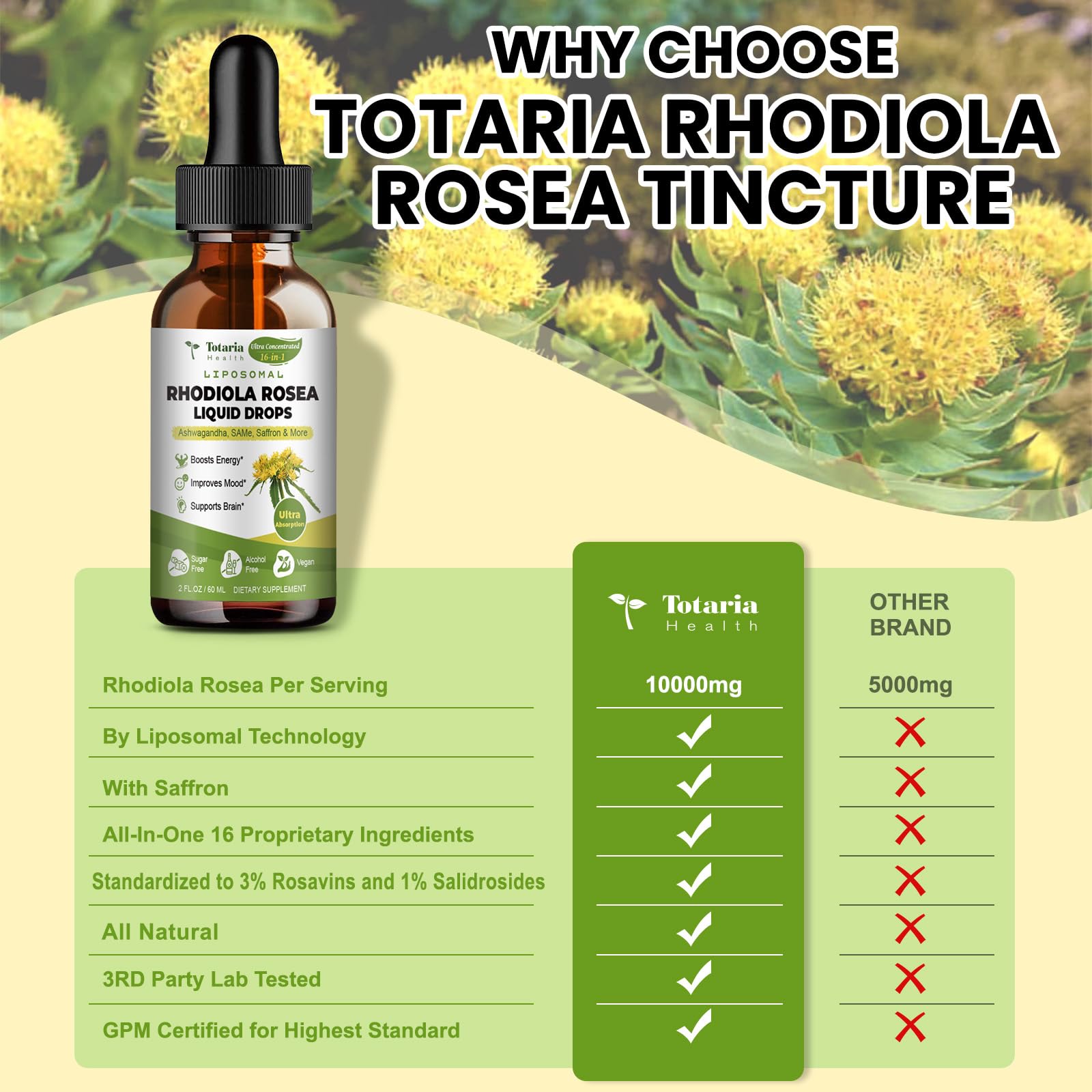 Totaria rhodiola tincture mixed with water for easy beverage integration.