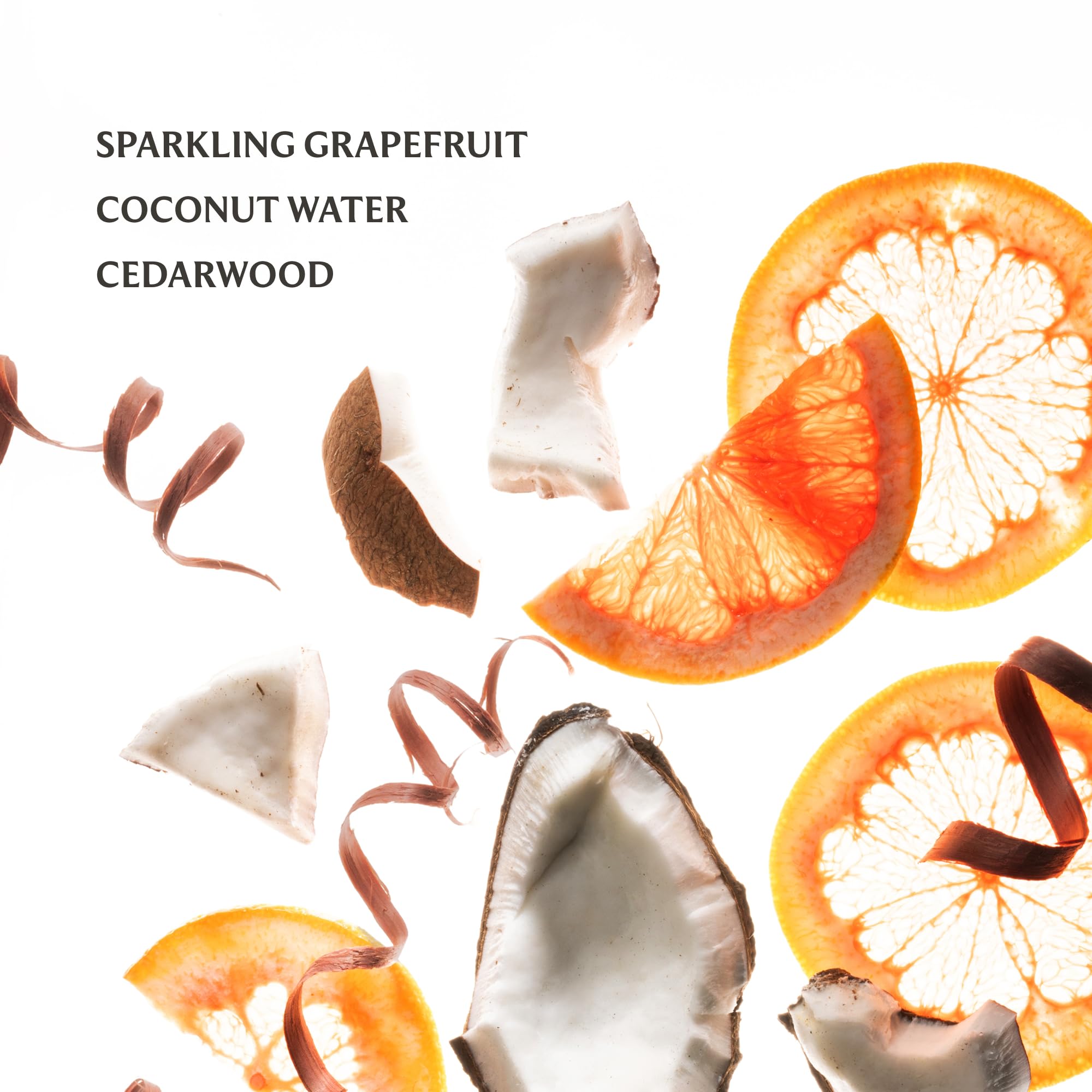 Touchland Beach Coco close-up of scent notes with coconut water and grapefruit.
