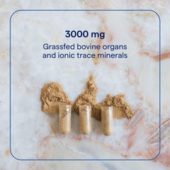 Close-up of Trace Minerals Beef Organs capsules for easy daily wellness.