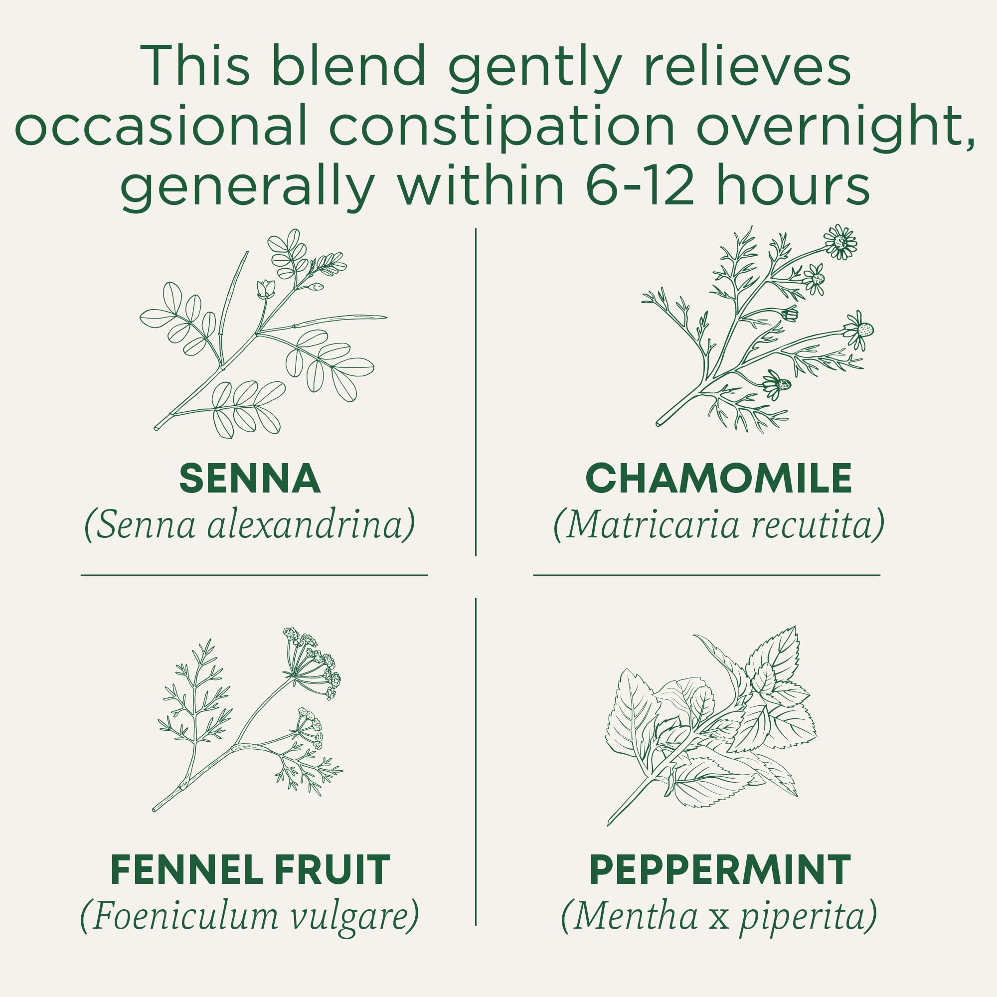 Traditional Medicinals Chamomile Senna leaves close-up, highlighting a herbal blend for gentle regularity.