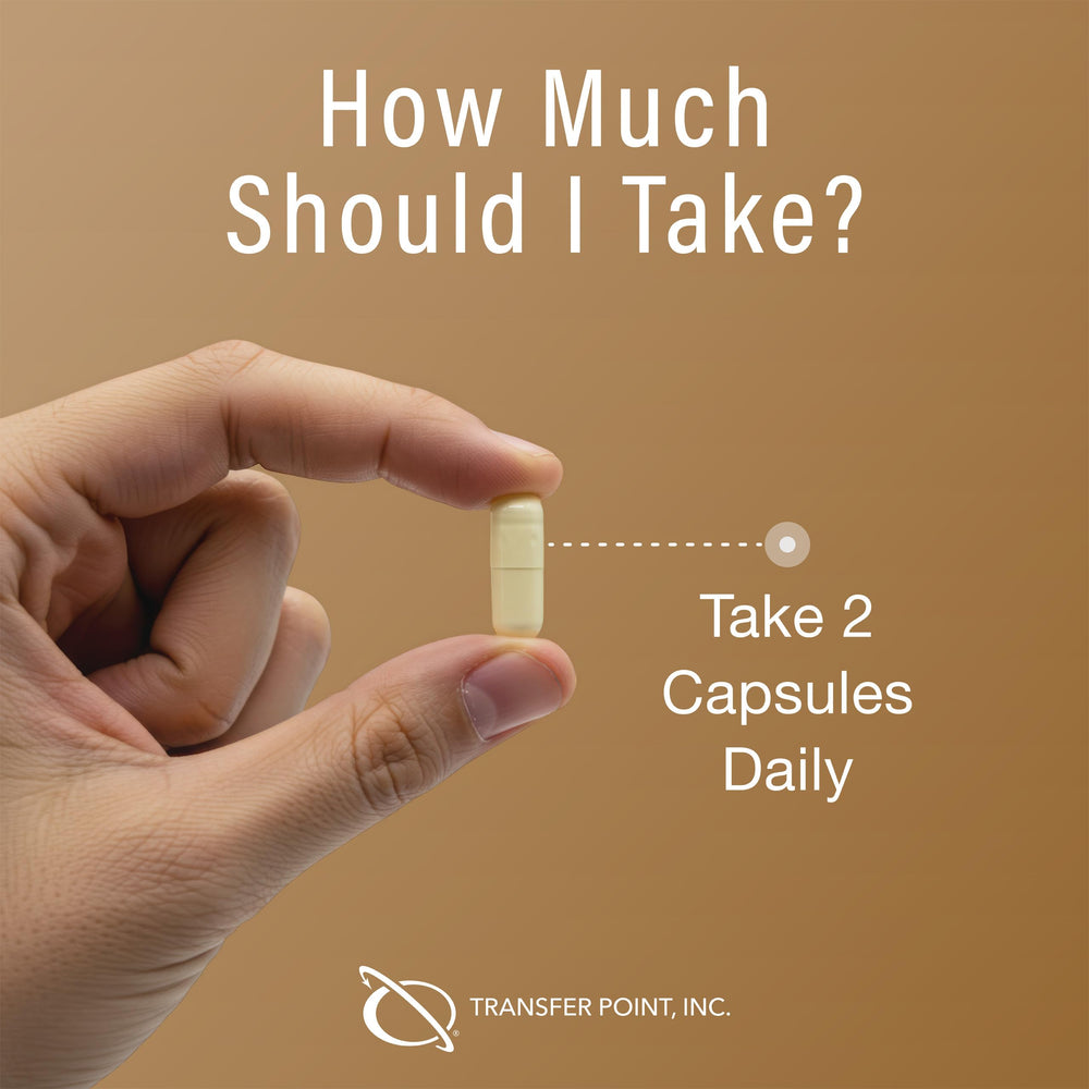 Transfer Point Immune capsules ready-to-swallow: simple daily dose for busy days.