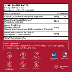 TRAVELSANA Daily Circulation Ginger Extract capsules highlighting circulation and digestion
