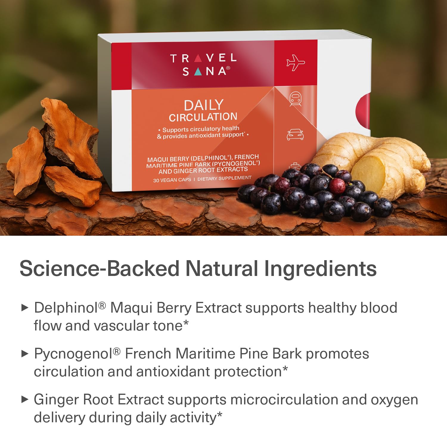 TRAVELSANA Pycnogenol bottle emphasizing venous flexibility and blood flow