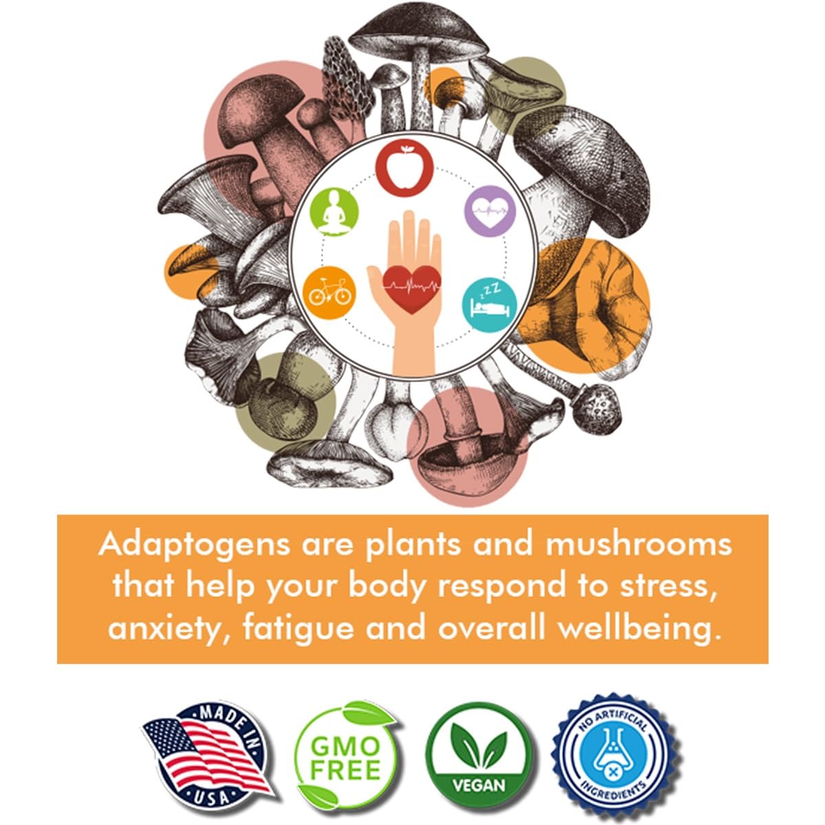 Tree of Life Botanicals Immunity Mushroom Complex beside healthy foods illustrating digestive support