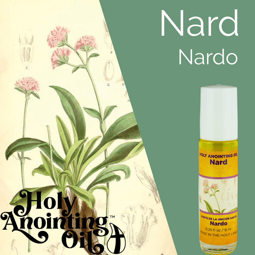 Tree of Life Nard oil bulk six-bottle pack for rituals.