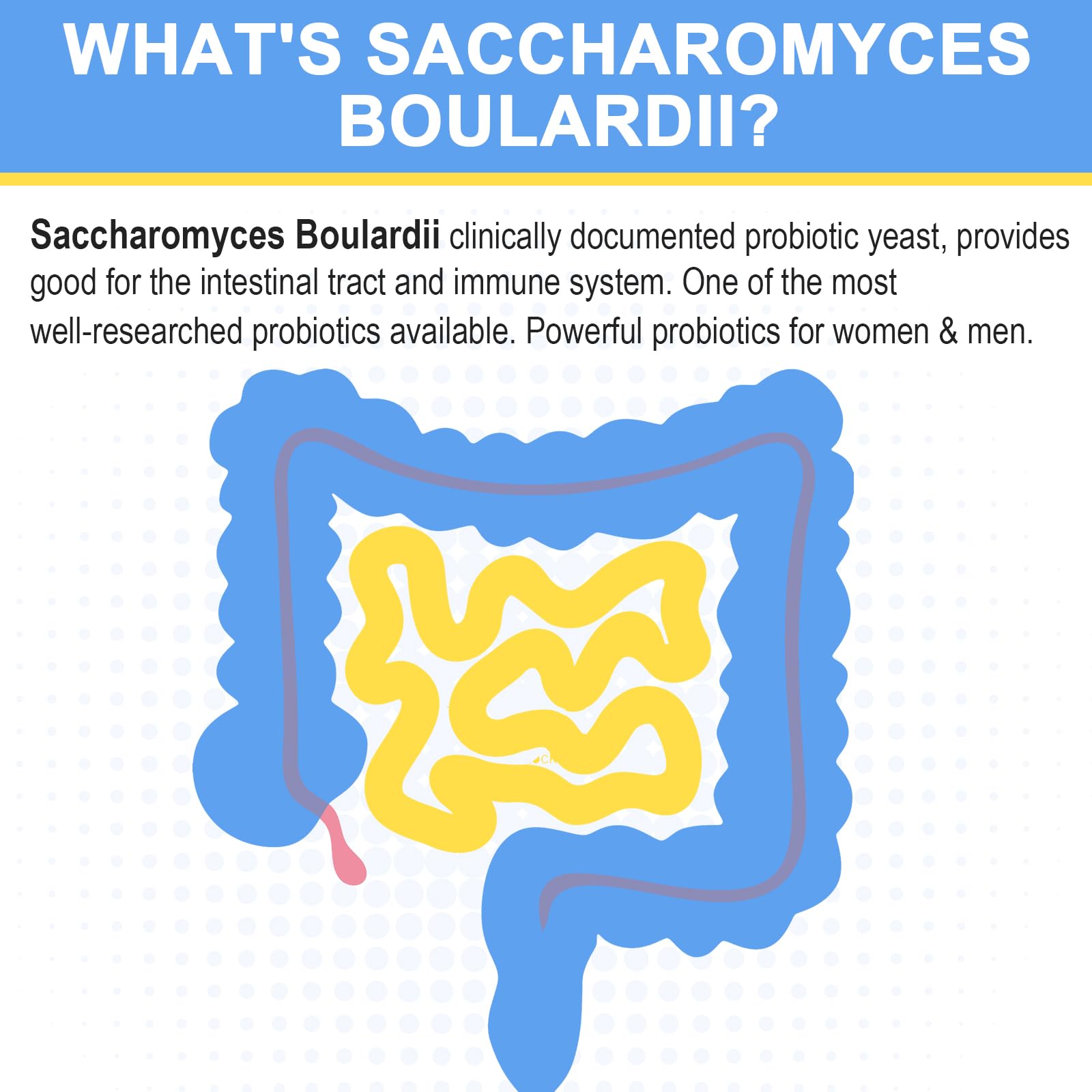 Closeup of Trehealtt Saccharomyces boulardii capsules for easy daily use