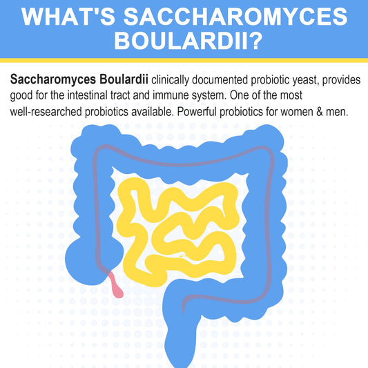 Closeup of Trehealtt Saccharomyces boulardii capsules for easy daily use