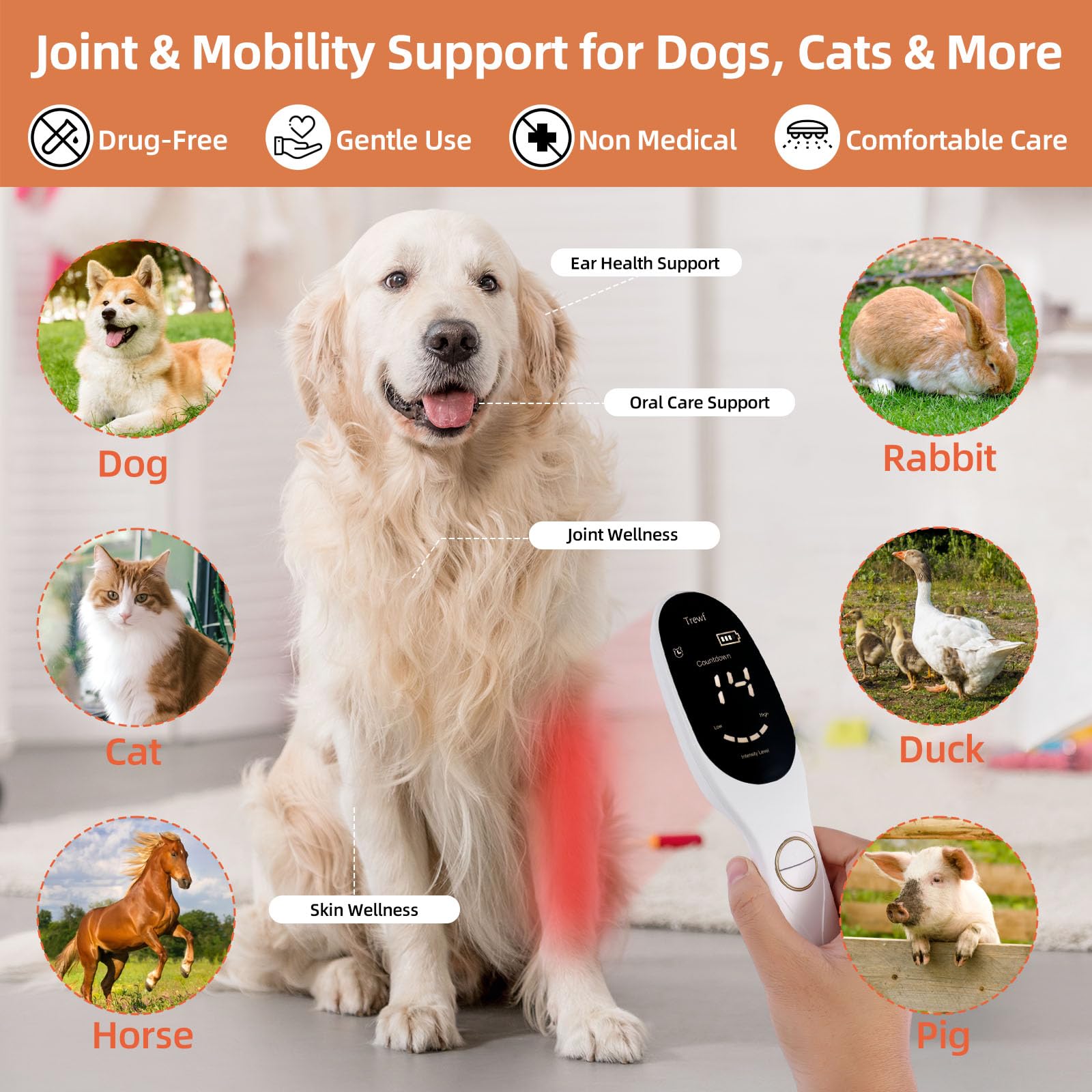 Trewf device for pets supports gentle light sessions for dogs and cats