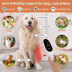 Trewf device for pets supports gentle light sessions for dogs and cats
