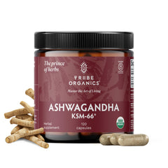 TRIBE ORGANICS Ashwagandha KSM-66 bottle for daily focus and mood support