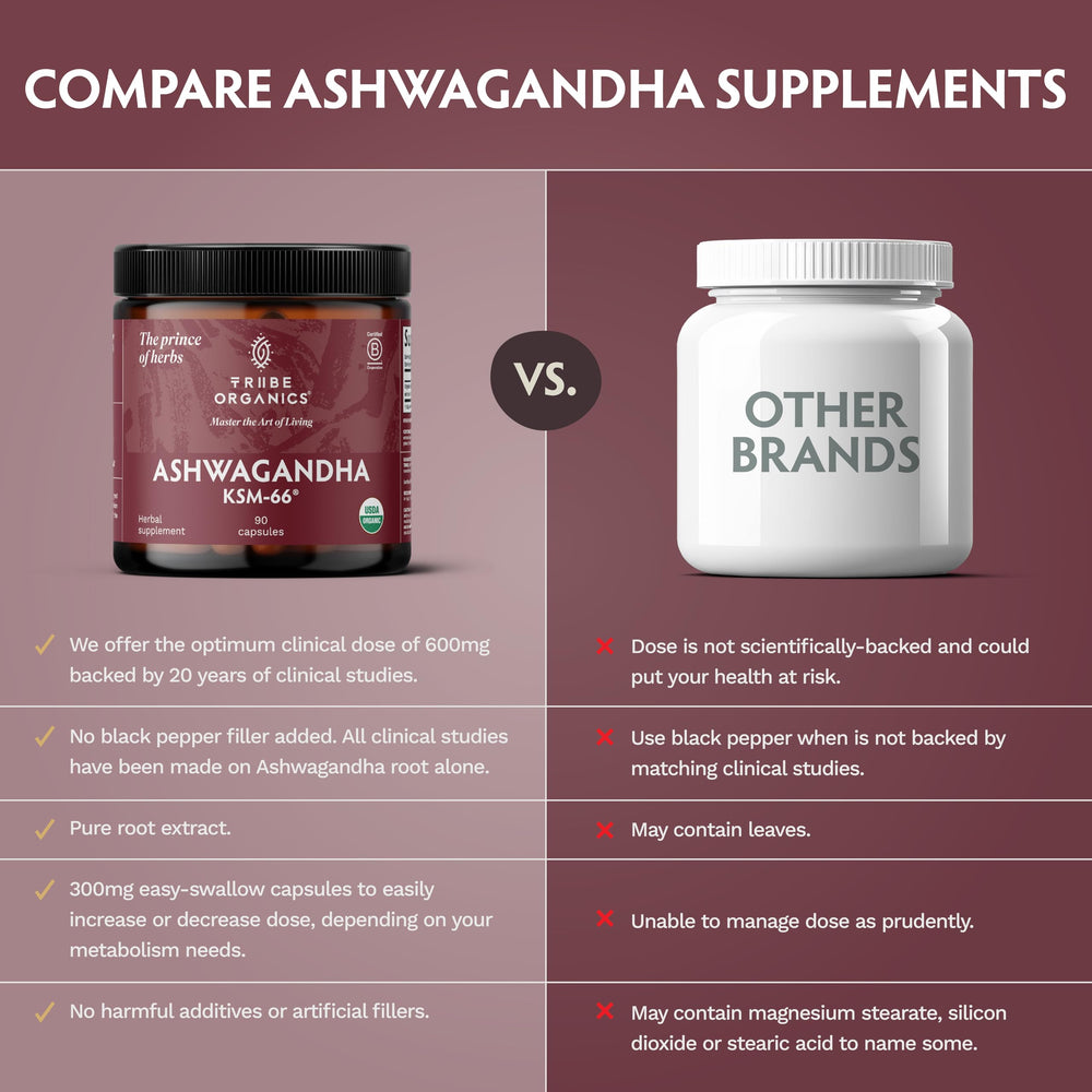 TRIBE ORGANICS Ashwagandha KSM-66 capsules in hand for on-the-go mood support