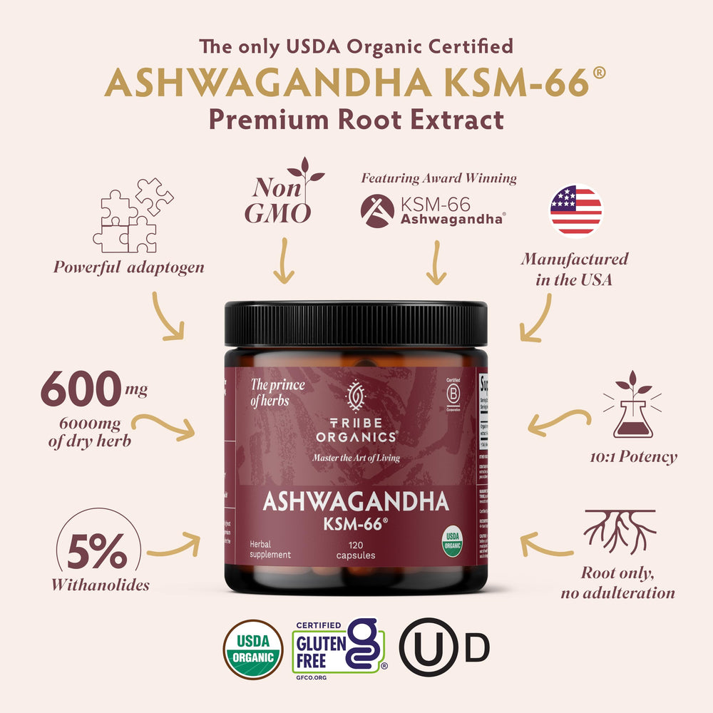 TRIBE ORGANICS KSM-66 capsules offering convenient energy and stress management
