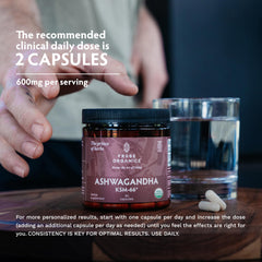 TRIBE ORGANICS Ashwagandha KSM-66 label detail displaying 5% withanolides