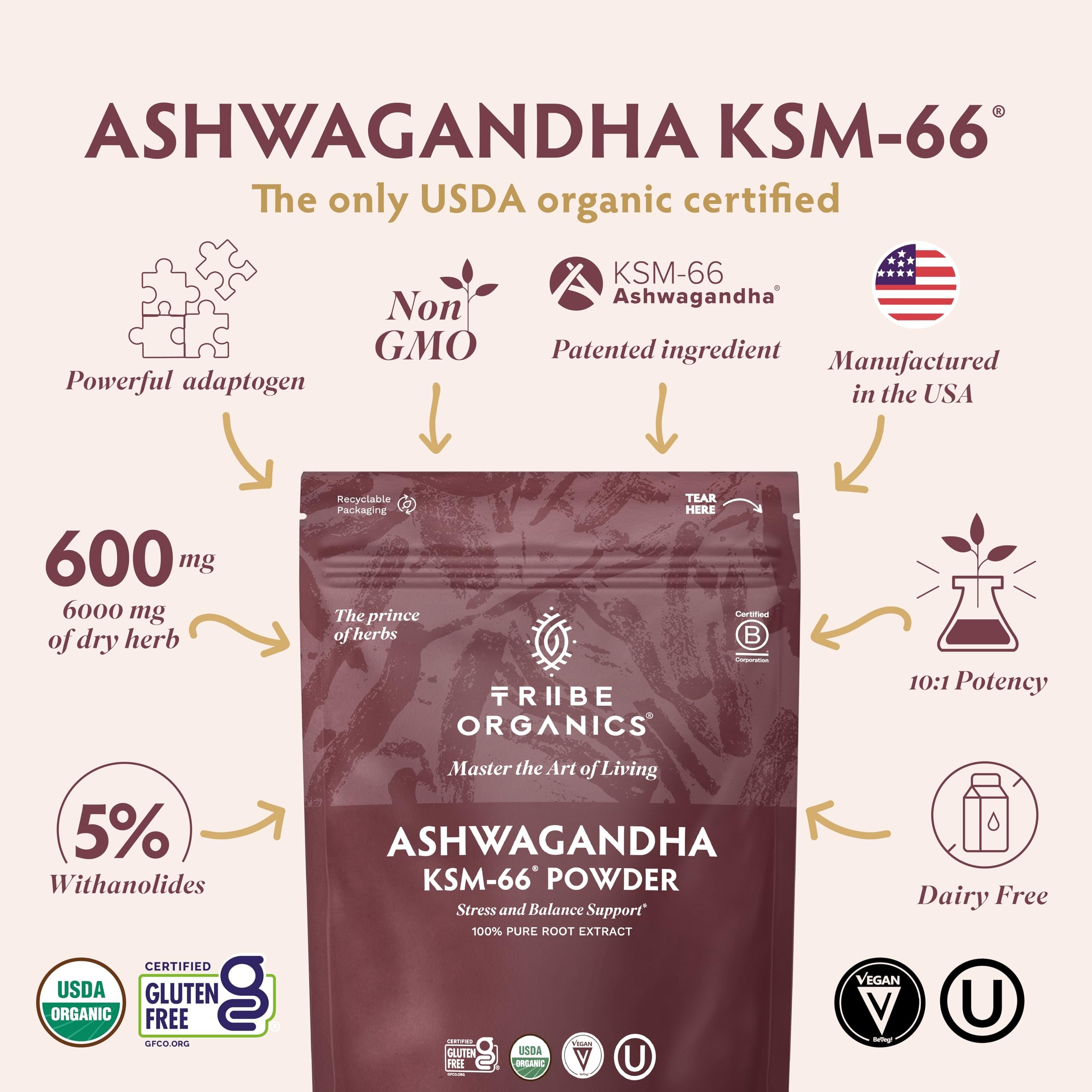 TRIBE ORGANICS KSM-66 Ashwagandha powder scoop showing convenient dosing