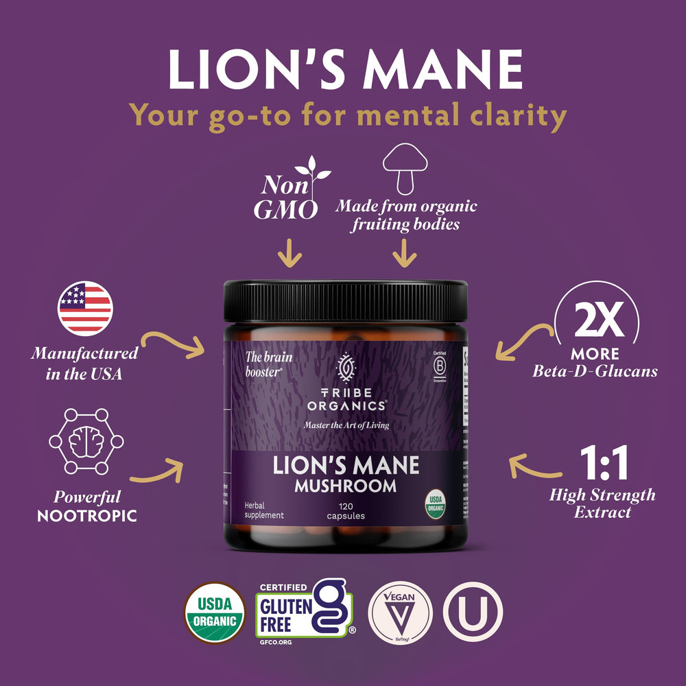 TRIBE ORGANICS Lion’s Mane capsules ready for on-the-go cognitive support.