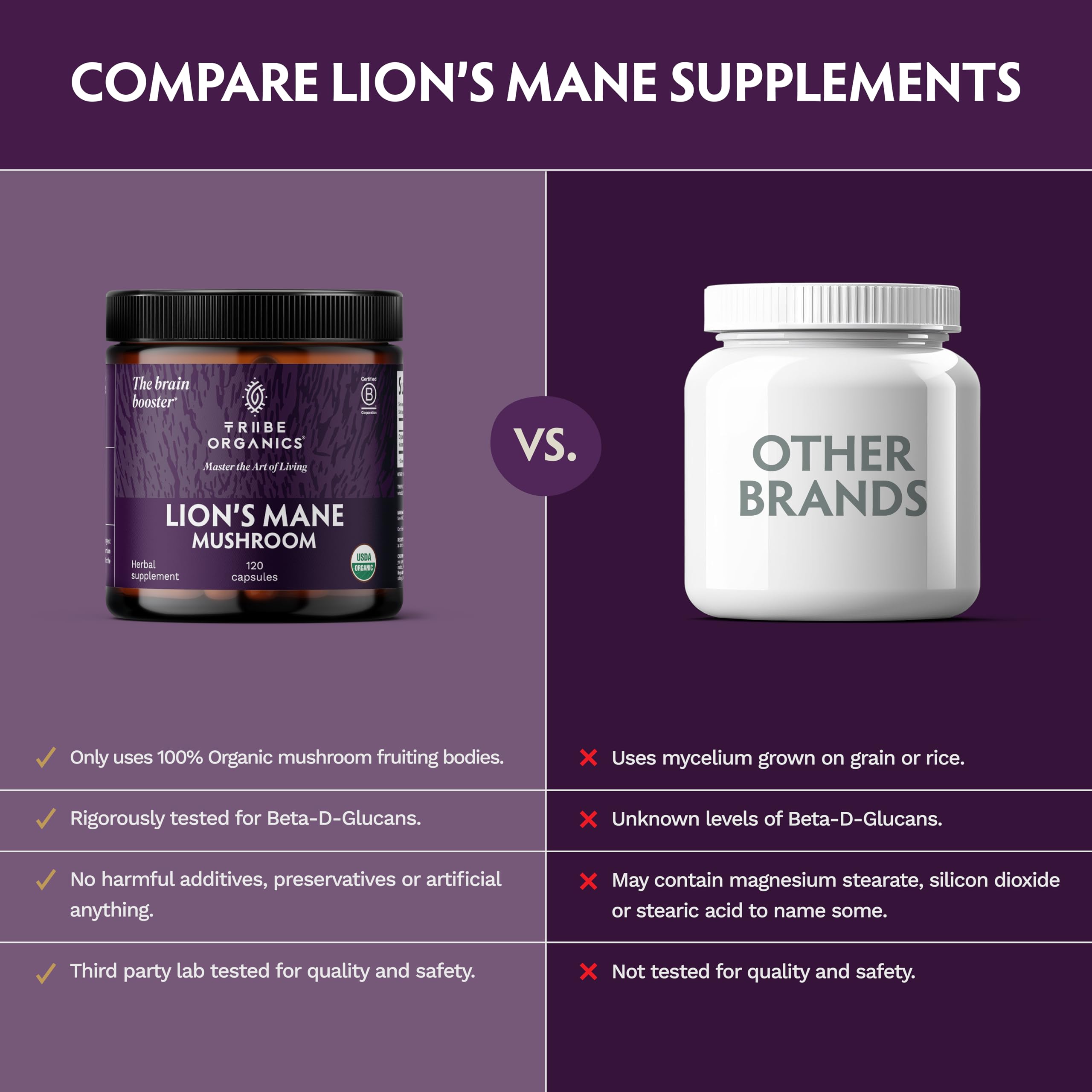 TRIBE ORGANICS Lion’s Mane organic fruiting bodies image emphasizing pure extract.