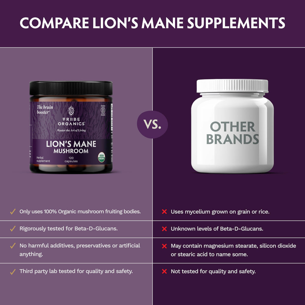 TRIBE ORGANICS Lion’s Mane organic fruiting bodies image emphasizing pure extract.