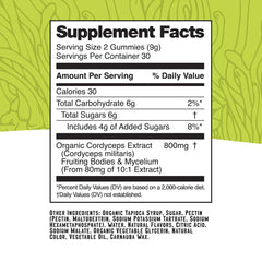 Troomy Boost Cordyceps gummies jar stack, grab-and-go energy for busy days