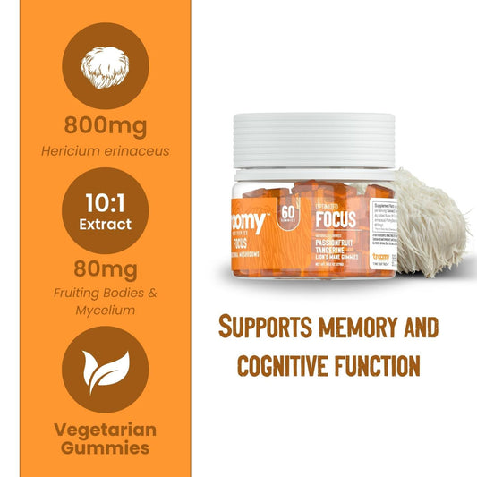 Troomy Lions Mane focus gummies with tangerine flavor for refreshing focus boost.