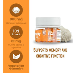 Troomy Lions Mane focus gummies with tangerine flavor for refreshing focus boost.