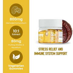 Troomy Reishi Calm gummies ingredients label highlighting natural, gelatin-free formula.