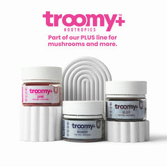 Close-up of triple-extracted mushrooms used in Troomy Shine.