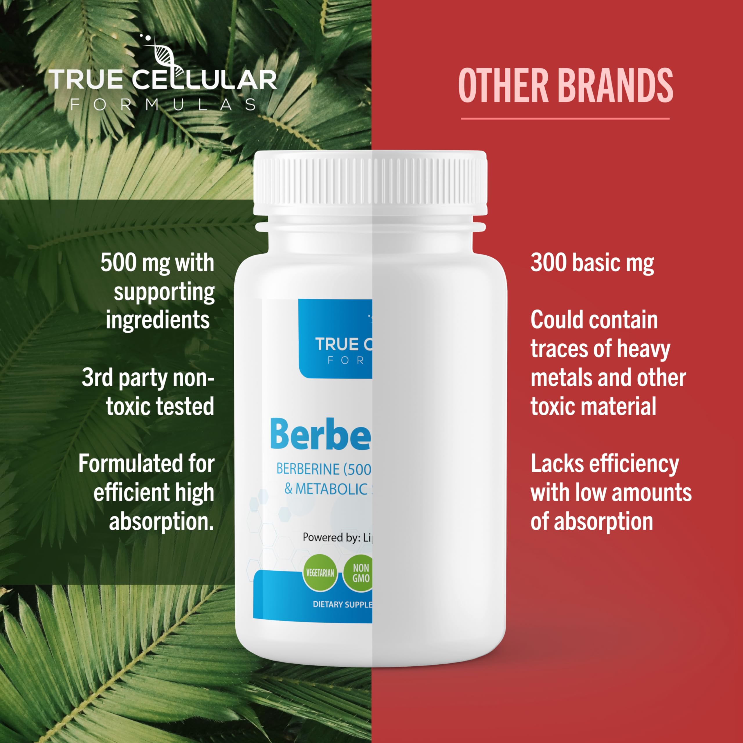 BerberBurn+ tablets on a morning desk illustrate easy daily routine.