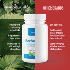 BerberBurn+ tablets on a morning desk illustrate easy daily routine.