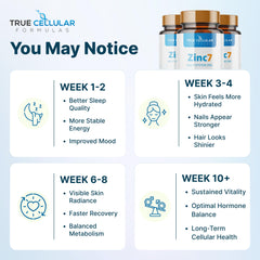 Close-up True Cellular Formulas Zinc7 capsules indicates high absorption zinc forms