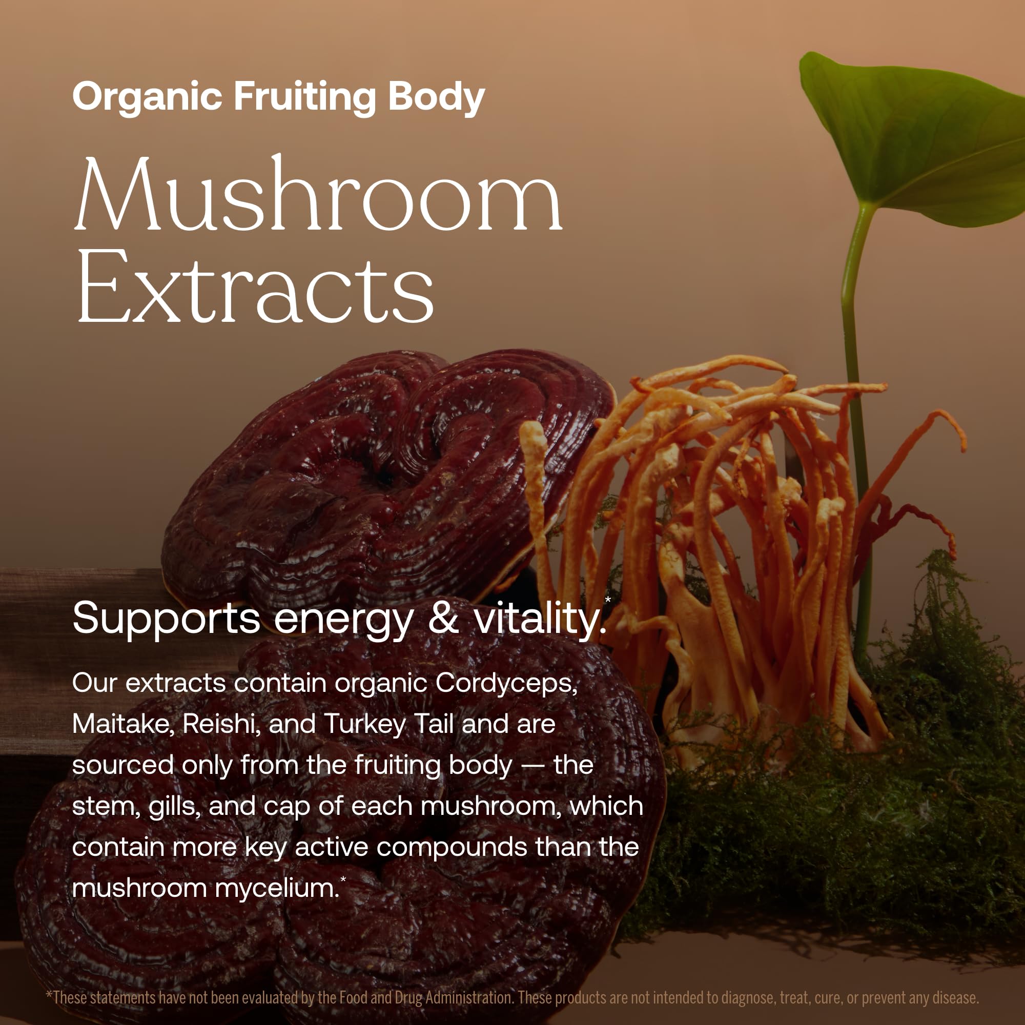 Adaptogenic blend of holy basil and ashwagandha in True Grace