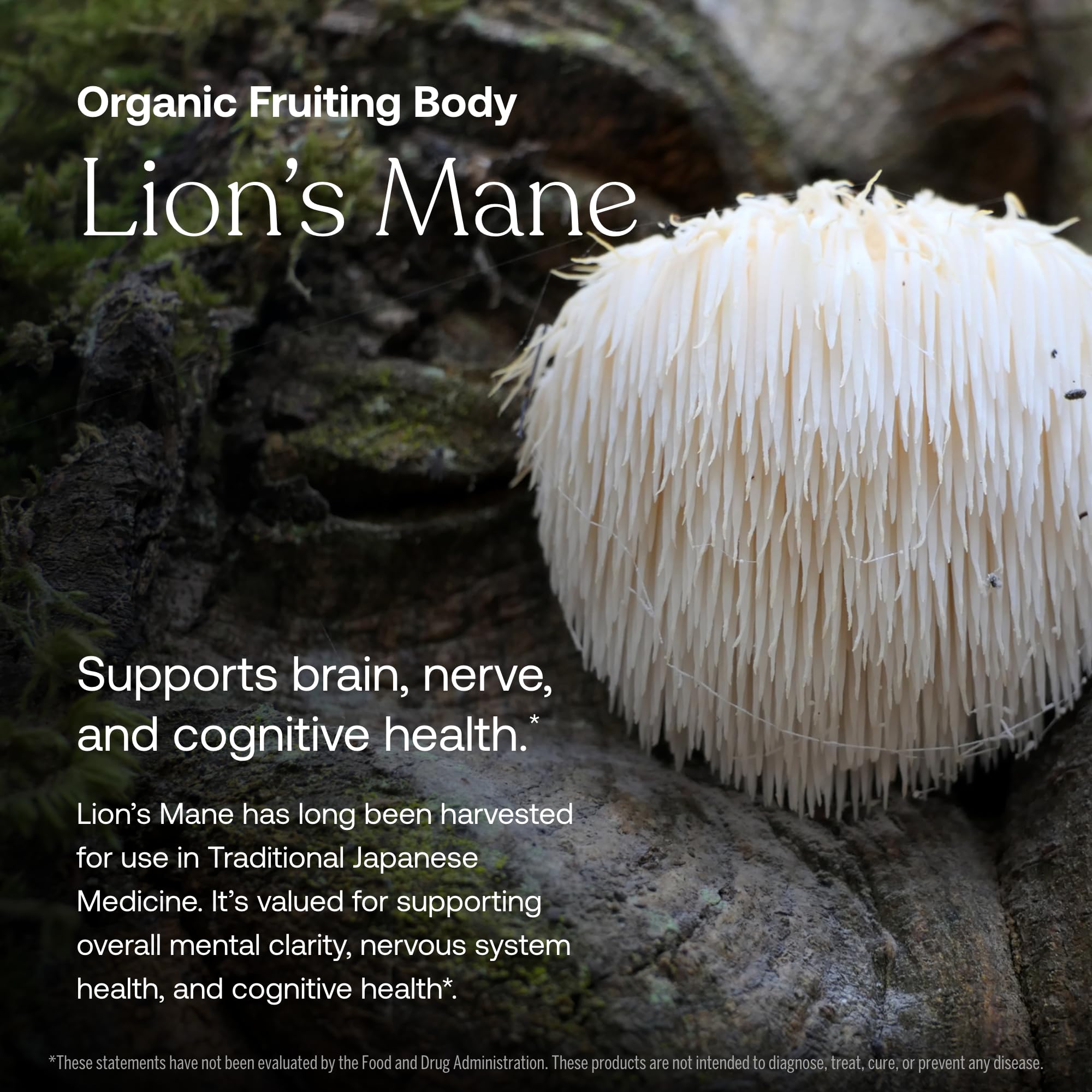 True Grace Daily Multivitamin 50+ fermented minerals detail, designed for better absorption.