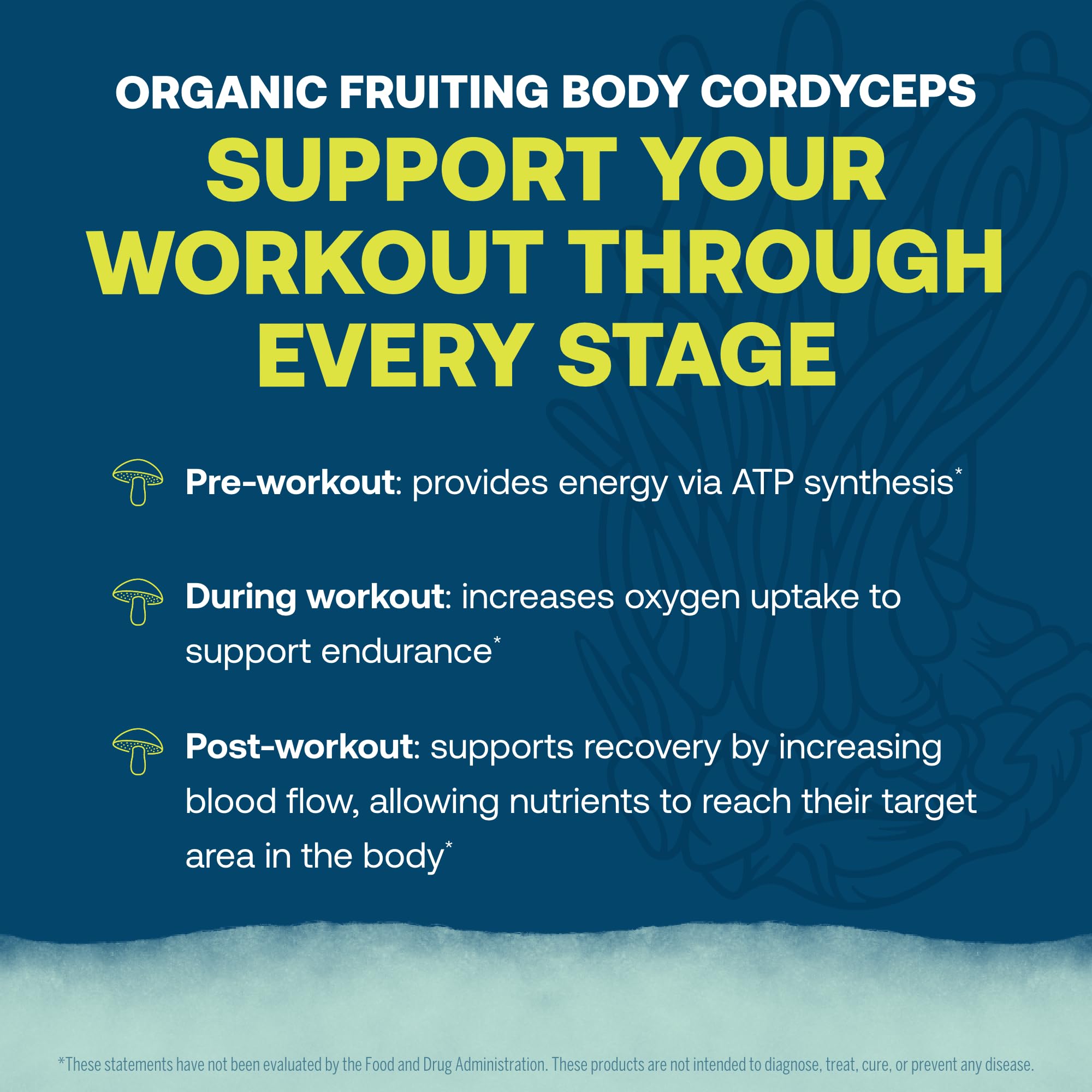 Ingredients list featuring cordyceps for endurance support in ElectroMag