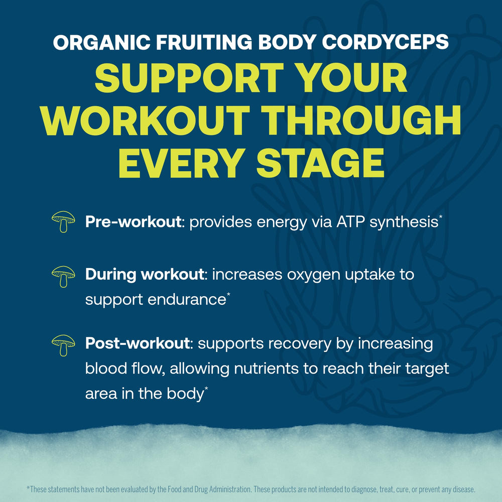 Ingredients list featuring cordyceps for endurance support in ElectroMag