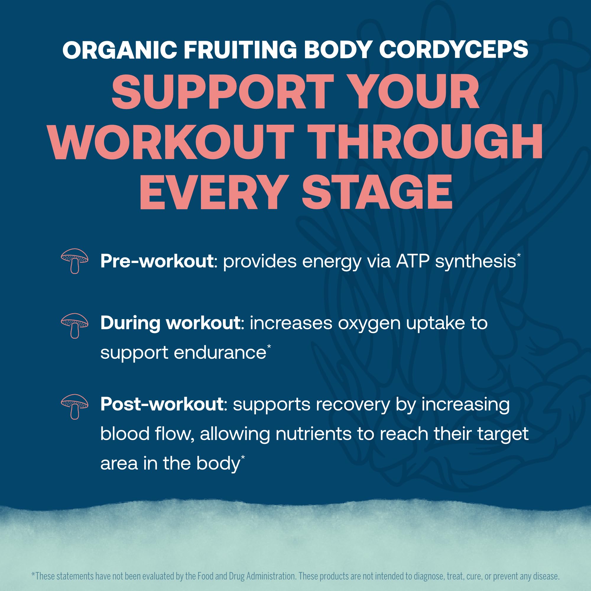 ElectroMag zero sugar and zero carbs feature for light hydration.