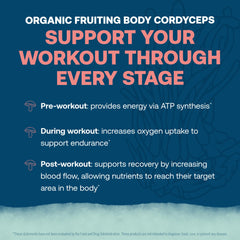 ElectroMag zero sugar and zero carbs feature for light hydration.