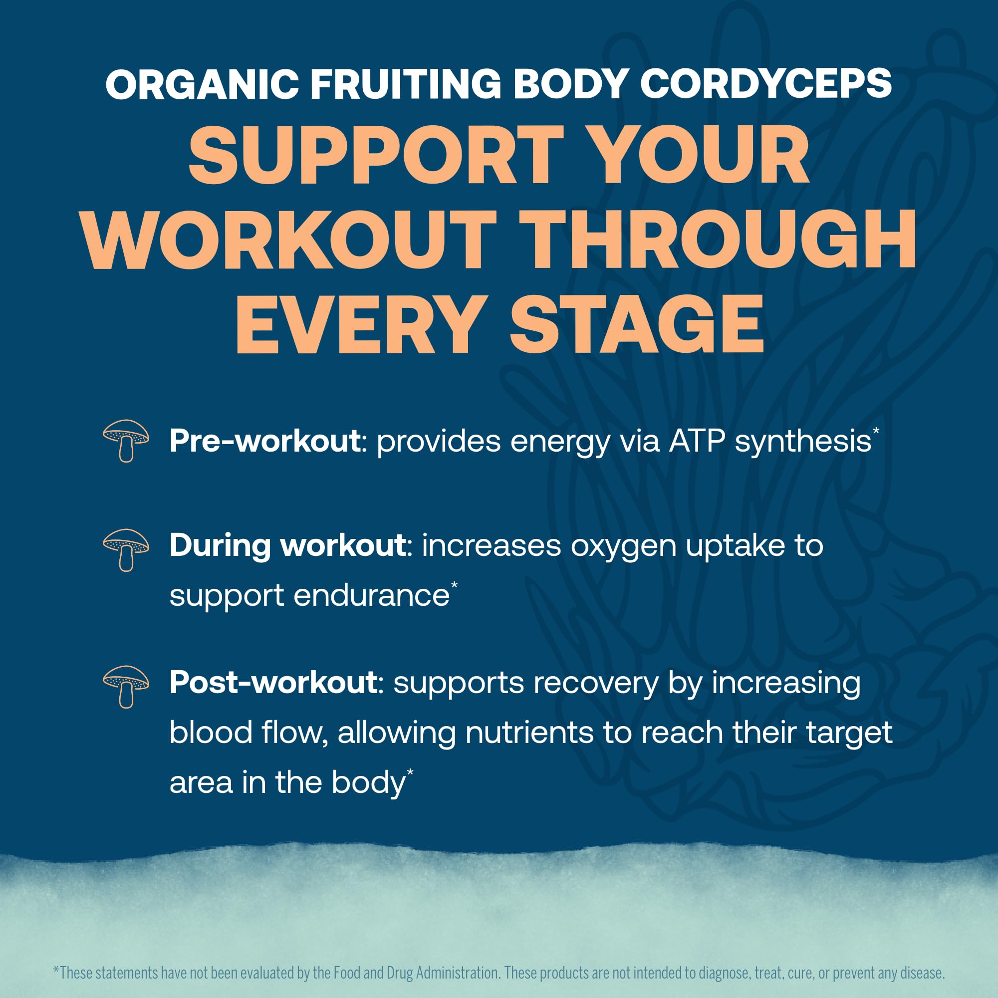 Zero sugar label on ElectroMag sachet emphasizes a sugar-free hydration option.