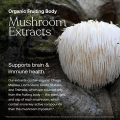 True Grace One Daily vegan tablets designed for daily energy and immune support.