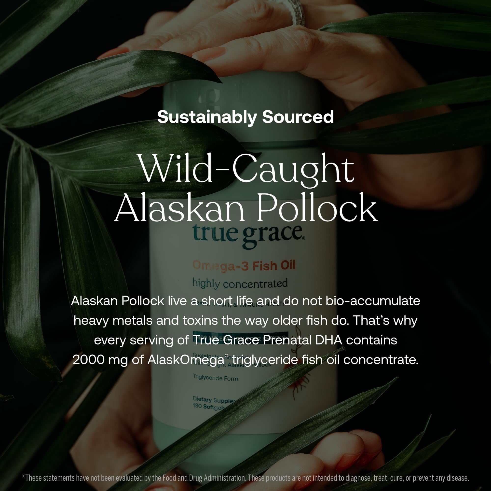 Wild-caught Alaskan pollock DHA used for prenatal support