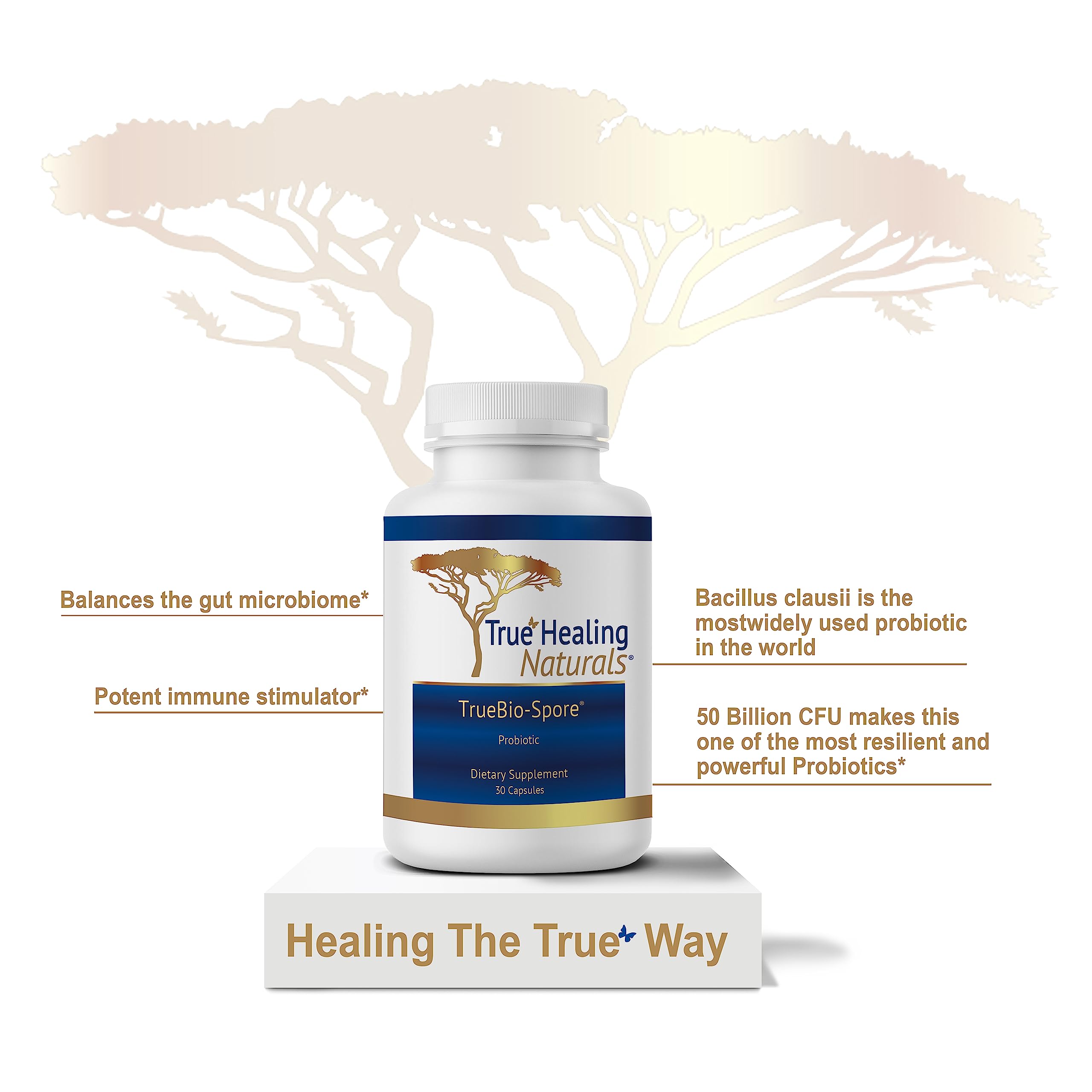 Gut flora illustration beside True Healing Naturals TrueBio-Spore