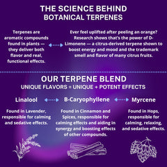Valerian root and ashwagandha ingredients close-up for herbal relaxation
